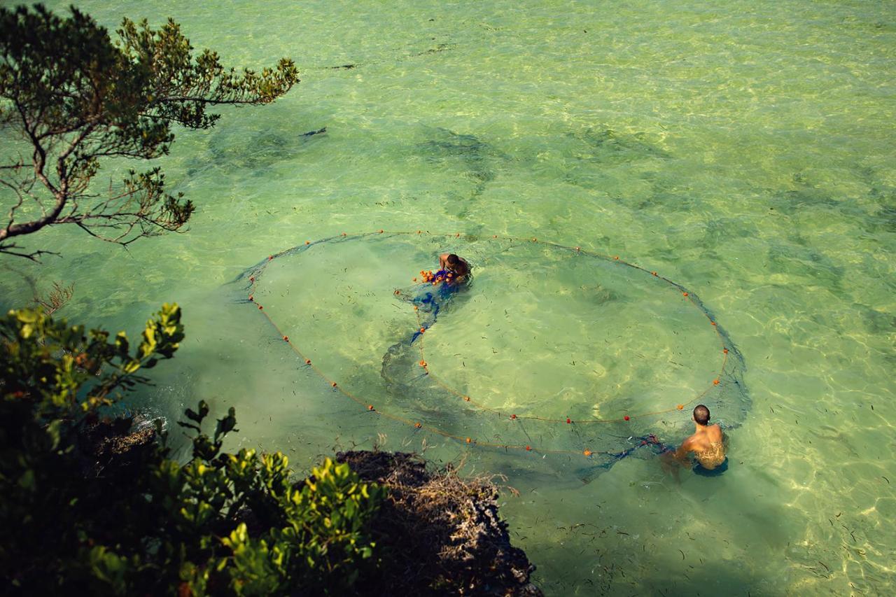 The Island - Pongwe Lodge (Adults Only) Bagian luar foto