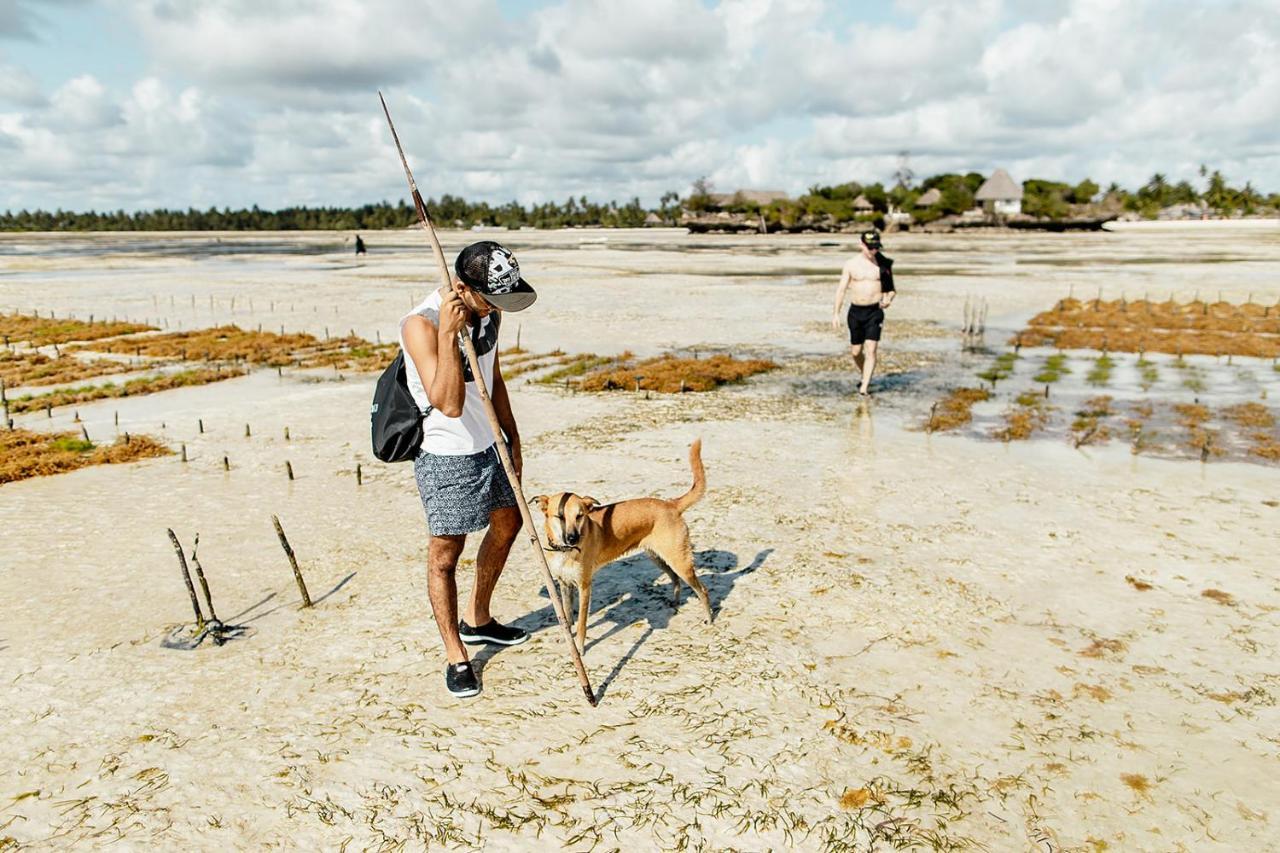 The Island - Pongwe Lodge (Adults Only) Bagian luar foto