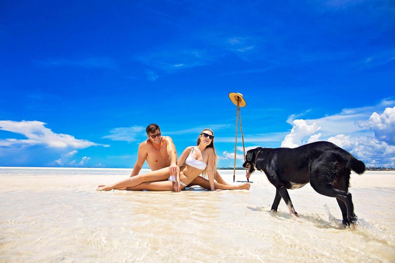 The Island - Pongwe Lodge (Adults Only) Bagian luar foto