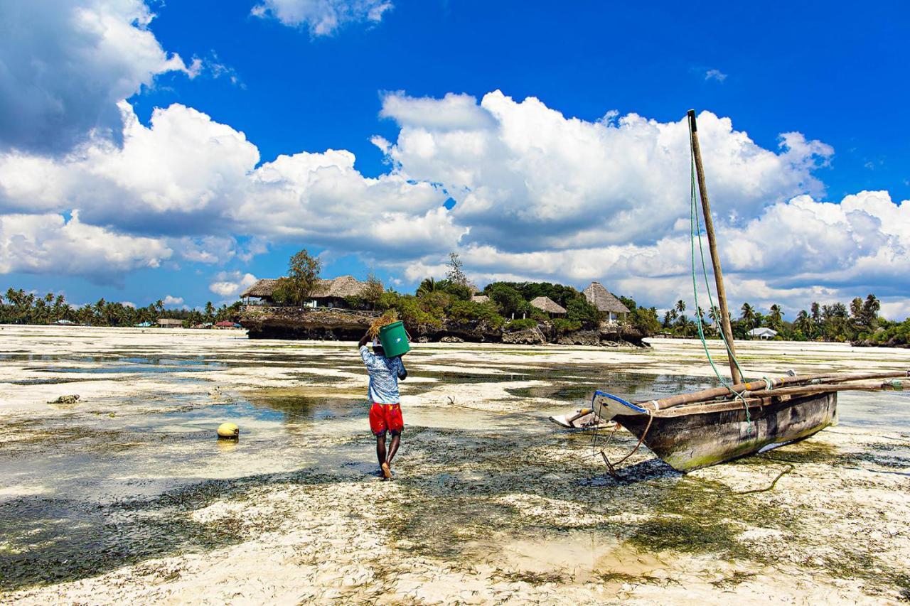 The Island - Pongwe Lodge (Adults Only) Bagian luar foto